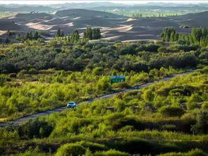 億利榮獲國家林業重點龍頭企業稱號，引領綠色工業發展